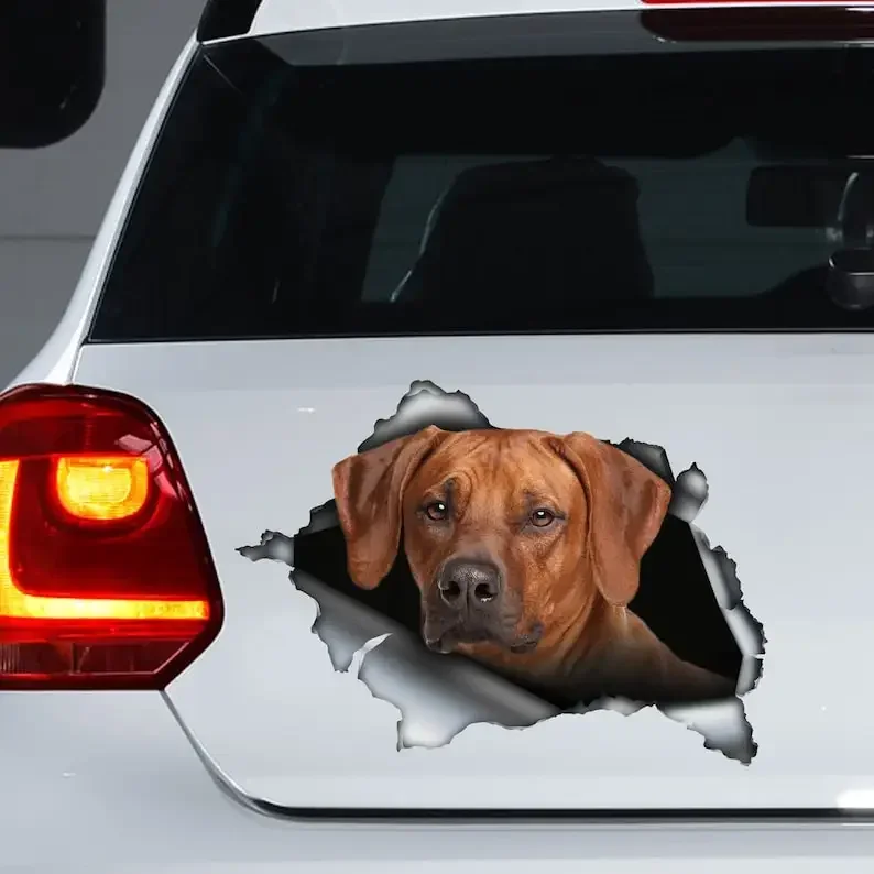 Rhodesian ridgeback car decal, Rhodesian ridgeback magnet, Rhodesian ridgeback sticker,