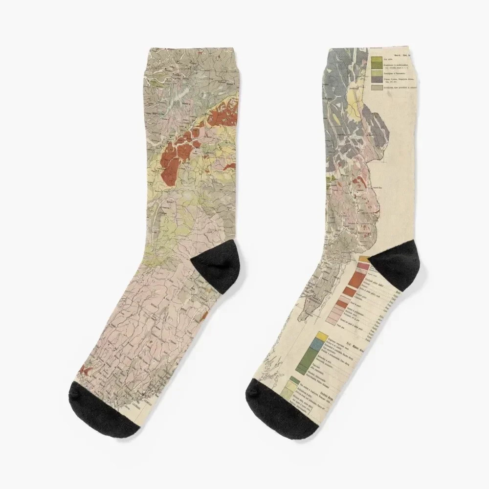 Vintage Geological Map of Norway (1878) Socks sports stockings short Thermal man winter Luxury Woman Socks Men's