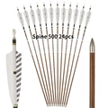 Spine 500 24pcs