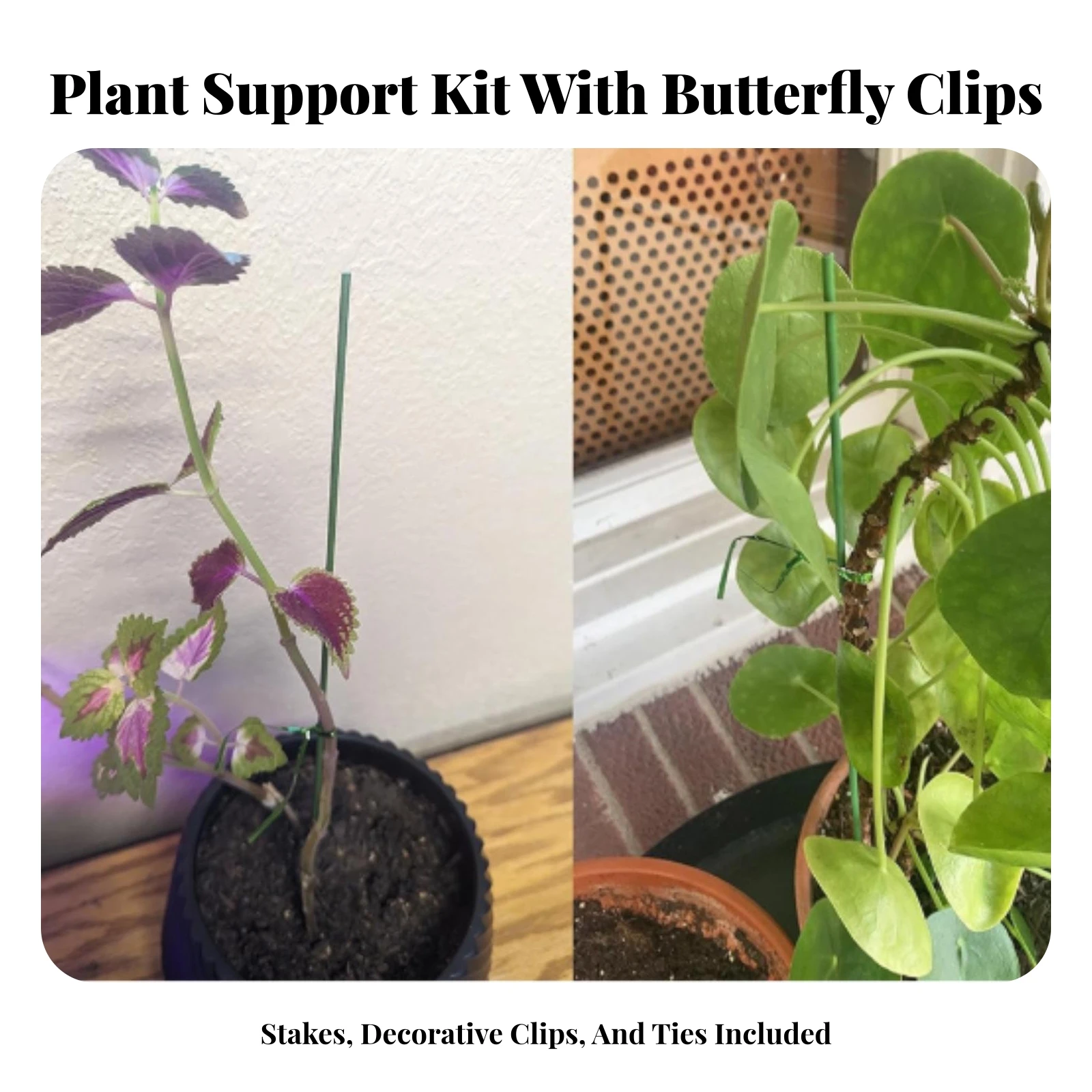 10 Pieces Plant Support Rod with Clips and Ties Bendable Flexible Plant Support Rod Green Easy to Use for Balconies, Windowsills