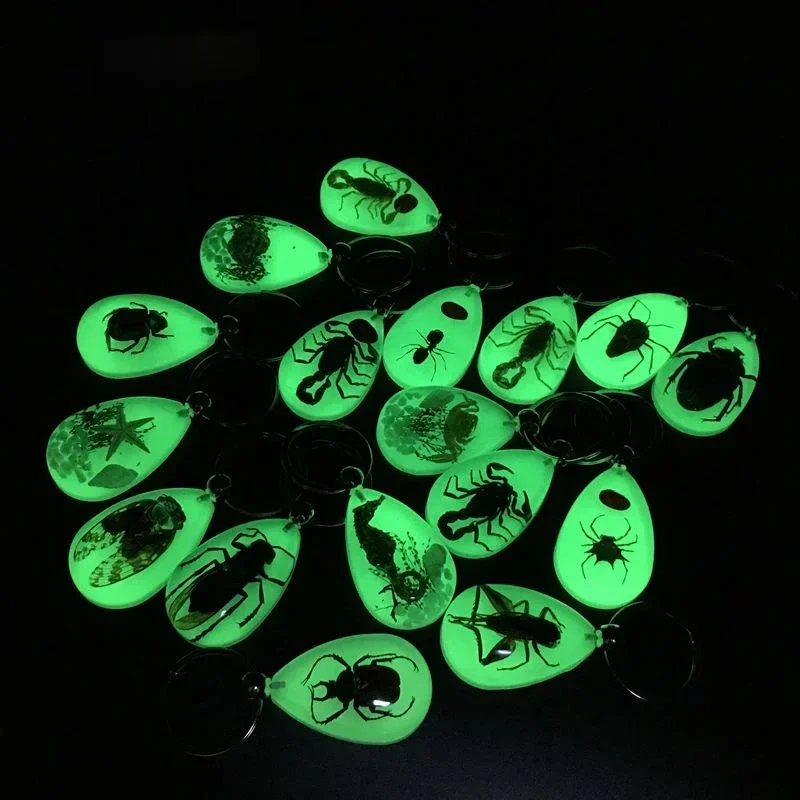 Diseño creativo, 1 unidad, llavero luminoso de resina para insectos, colgante de espécimen de insecto de escorpión noctilucente, recuerdos turísticos, Color aleatorio