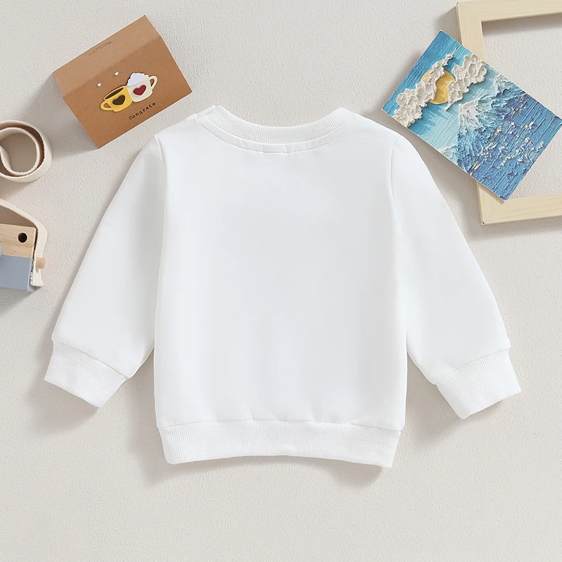 0-3T Toddler Baby Boy Girl Sweatshirt Clothes Solid Color Crew Neck Long Sleeve Cotton Pullover Tops Infant Fall Winter Outfit