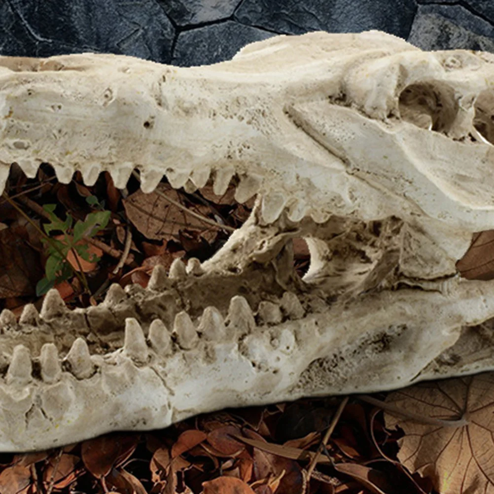 

Exquisite Crocodile Skull Decor Handmade Resin Simulation Ornament for Home Office Mall Hotel Table Shelf Sofa Car Interior