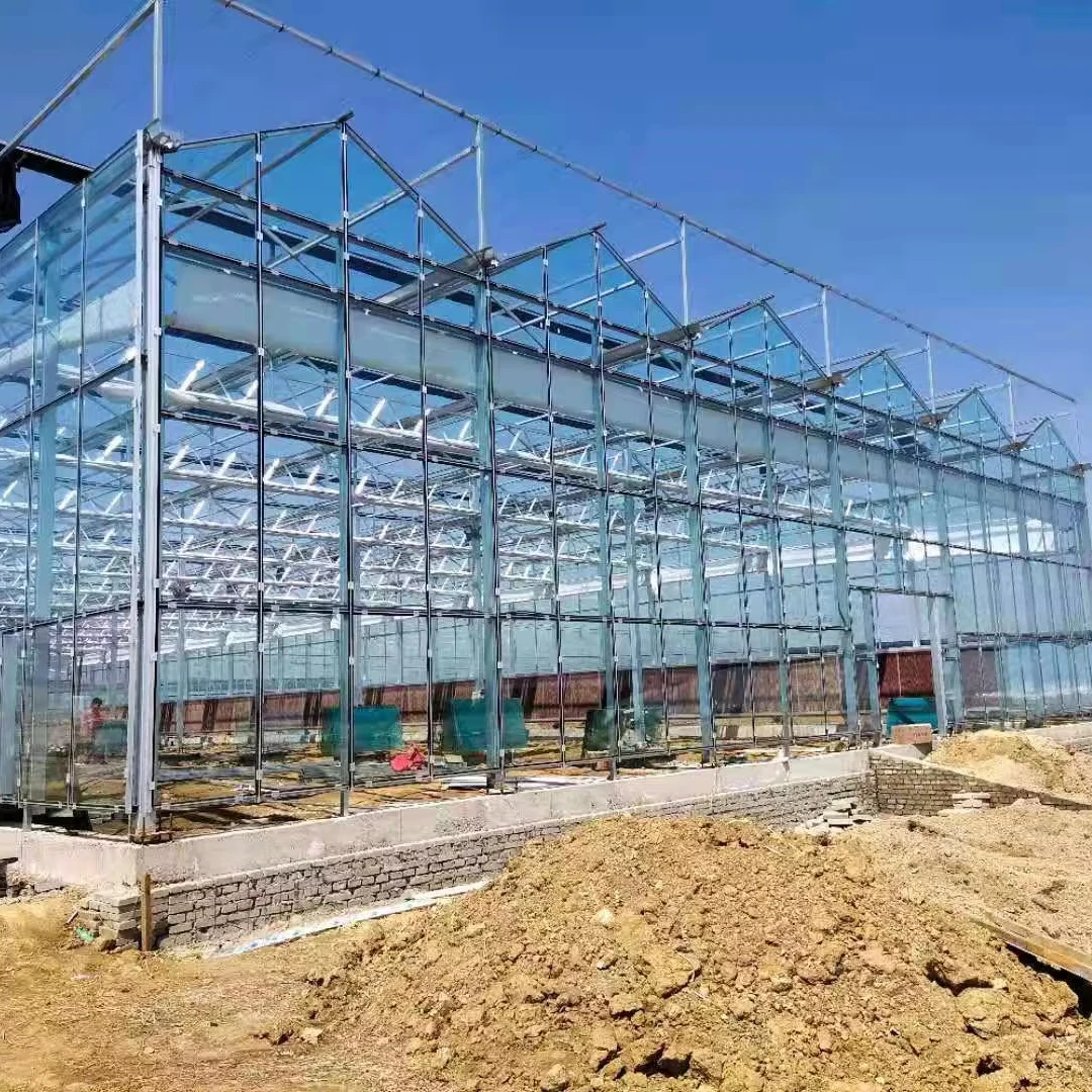 

Customized greenhouseLarge Smart Multi-Span Glass Greenhouse Agricultural Greenhouse With Hydroponic System for Tomato/Lettuce/R