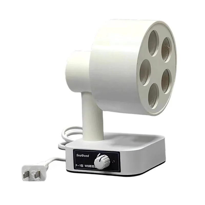 

Membrane Cultivation Shaker Electrophoretic Transfer Accessories Protein Blotting Incubator AC 220V Protein Blotting Incubator