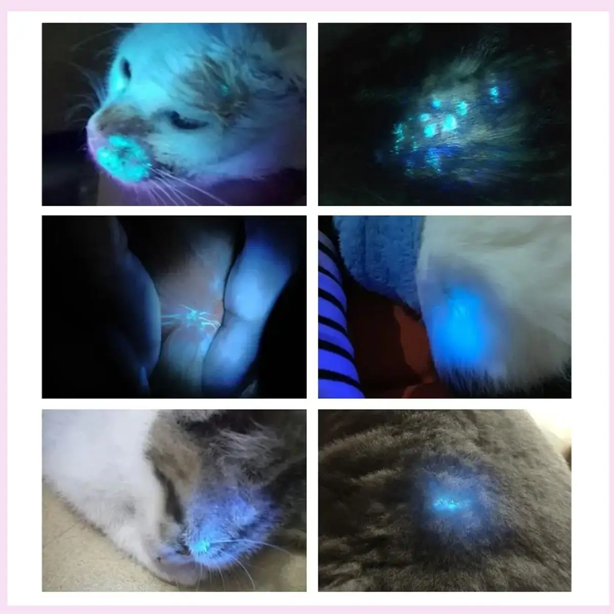 B25B Portable Facial Salon Beauty Analyzer Skin Analyzing Testing UV Woods Lamp For Skin Care