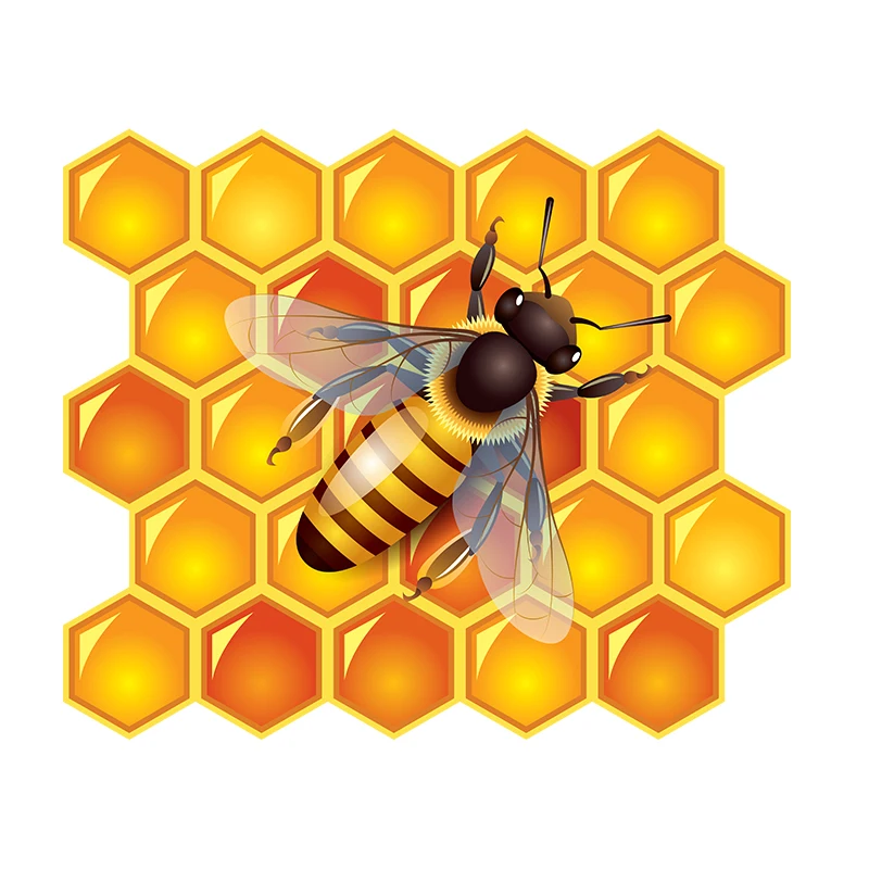 T325# Honey Bee Honeycomb Wall Sticker Bathroom Toilet Decor Living Room Cabinet Refrigerator Home Decoration Decals