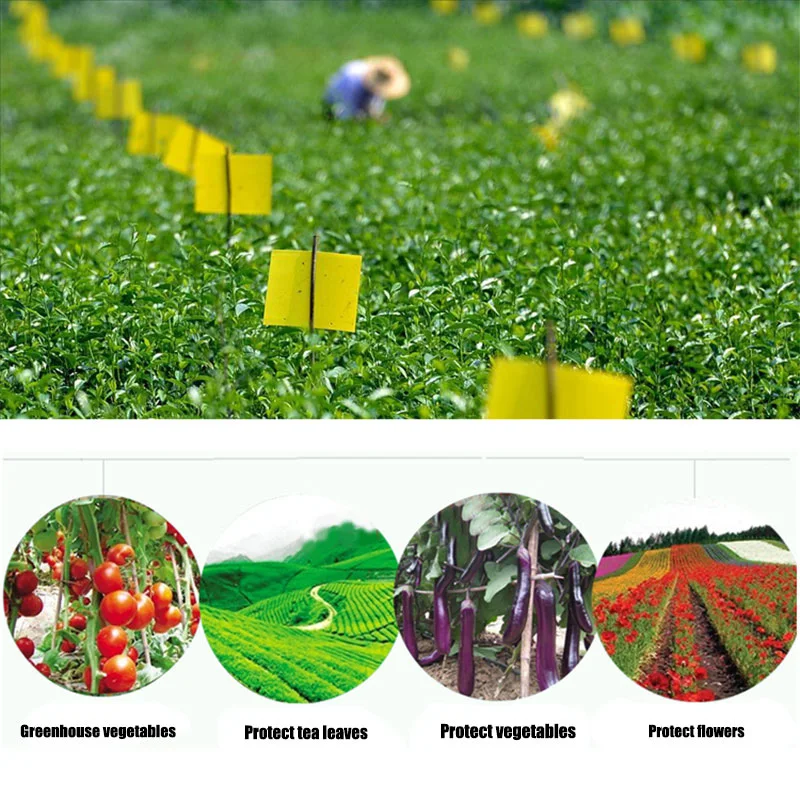 Glue Trap Catcher Sticky Boards Yellow Sticky Traps Eliminate Flies Insect Bug Garden Glue Paper Board Plant Flycatchers