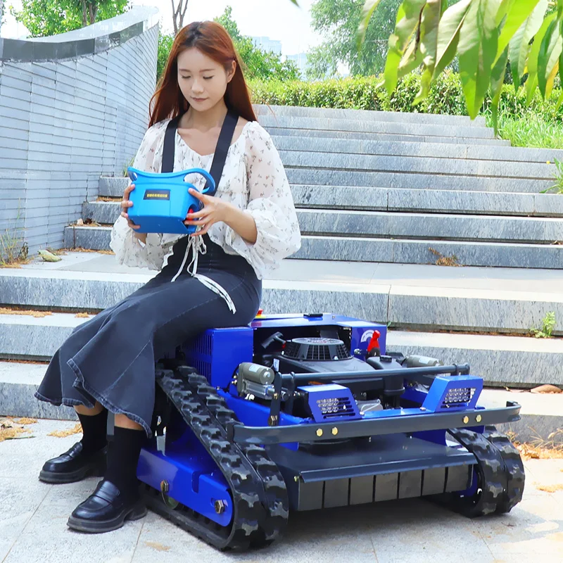 Robotic Lawnmower G… - image