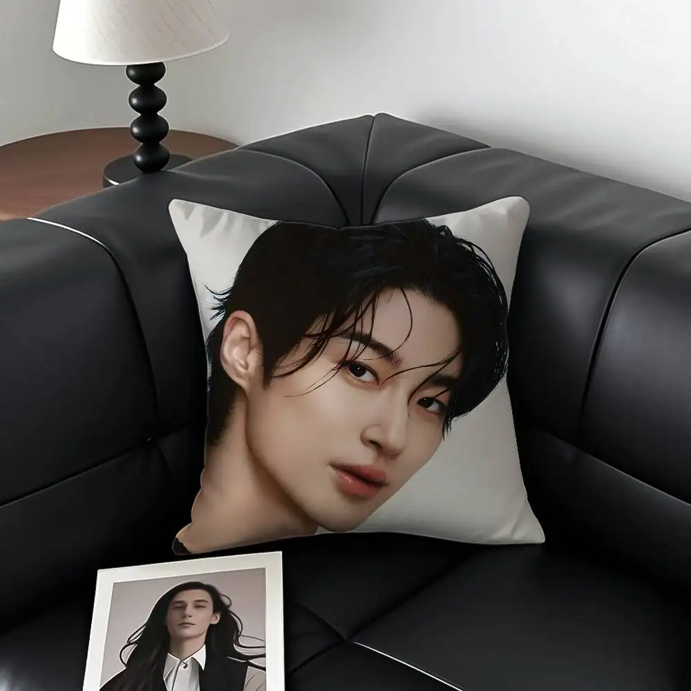 الممثلون والنماذج B-Byeon W-Wooseok كيس وسادة مكافحة الغبار المخدة غير مرئية سستة حريري قصير أفخم غطاء وسادة أريكة