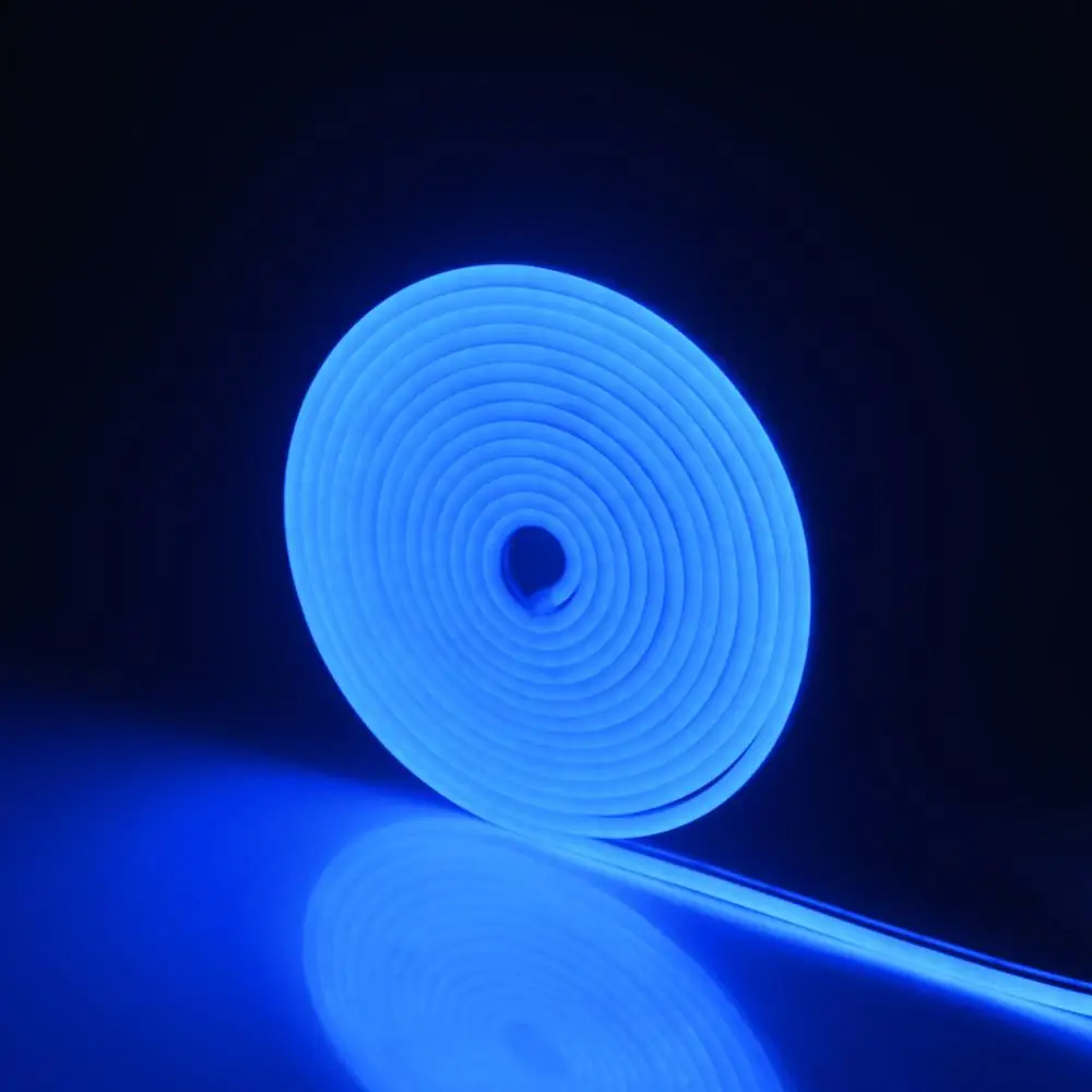 12V LED Neon Lights Flexible Strip Light Bedroom Game Room Wall Hanging Christmas Birthday Holiday Party Decorative Waterproof