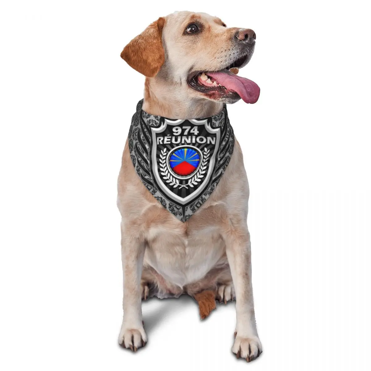 Creative 974 Reunio… - image