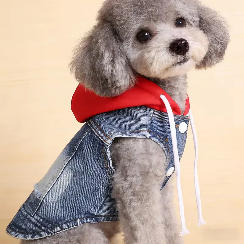 Thumbnail 3 - #7 Best Pet Apparels to Buy In 2026