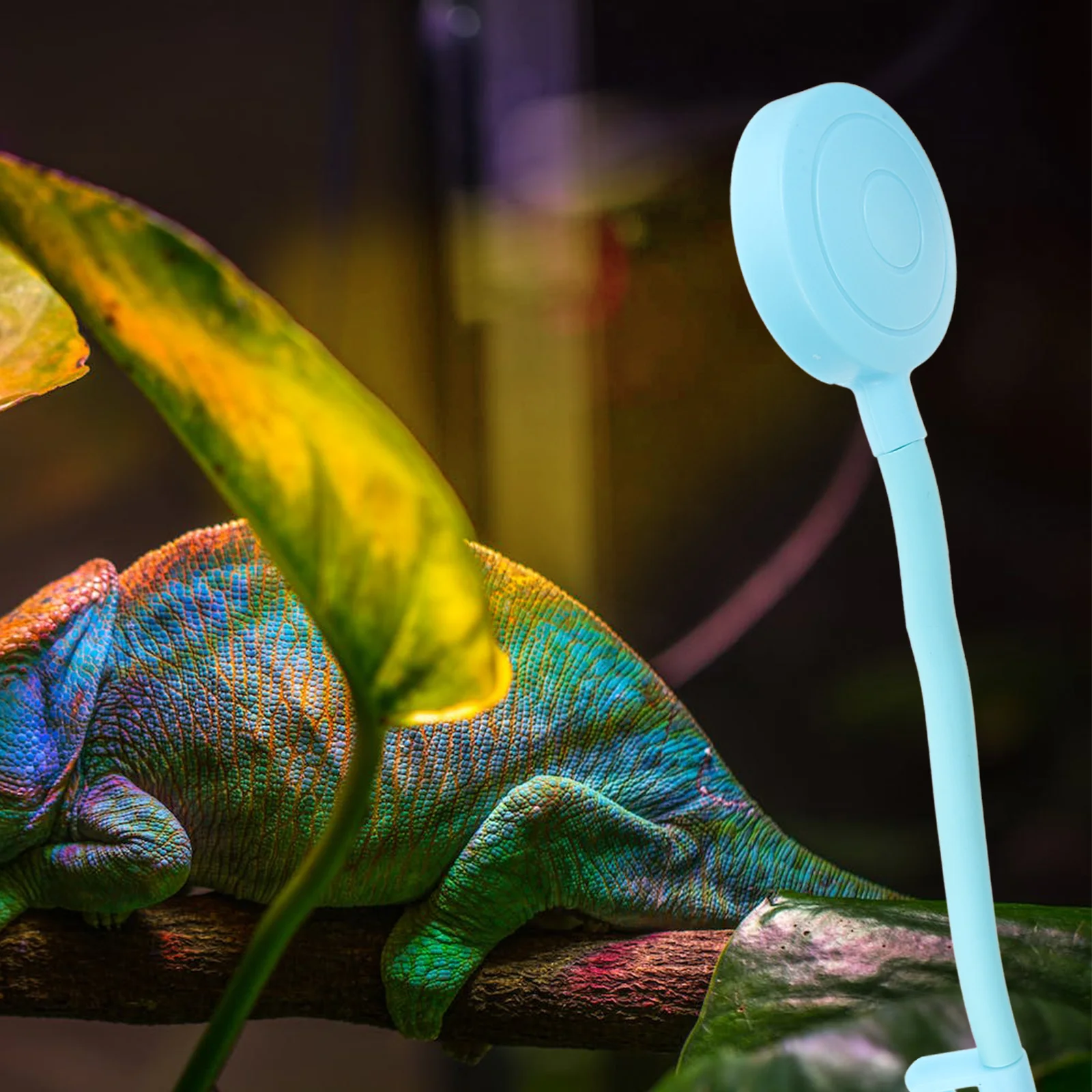 

Small Fish Tank Light LED Aquarium Lamp 360 Degree USB Mini Blue Lighting Plant Glow Reusable Water Proof Marine Decor Pet