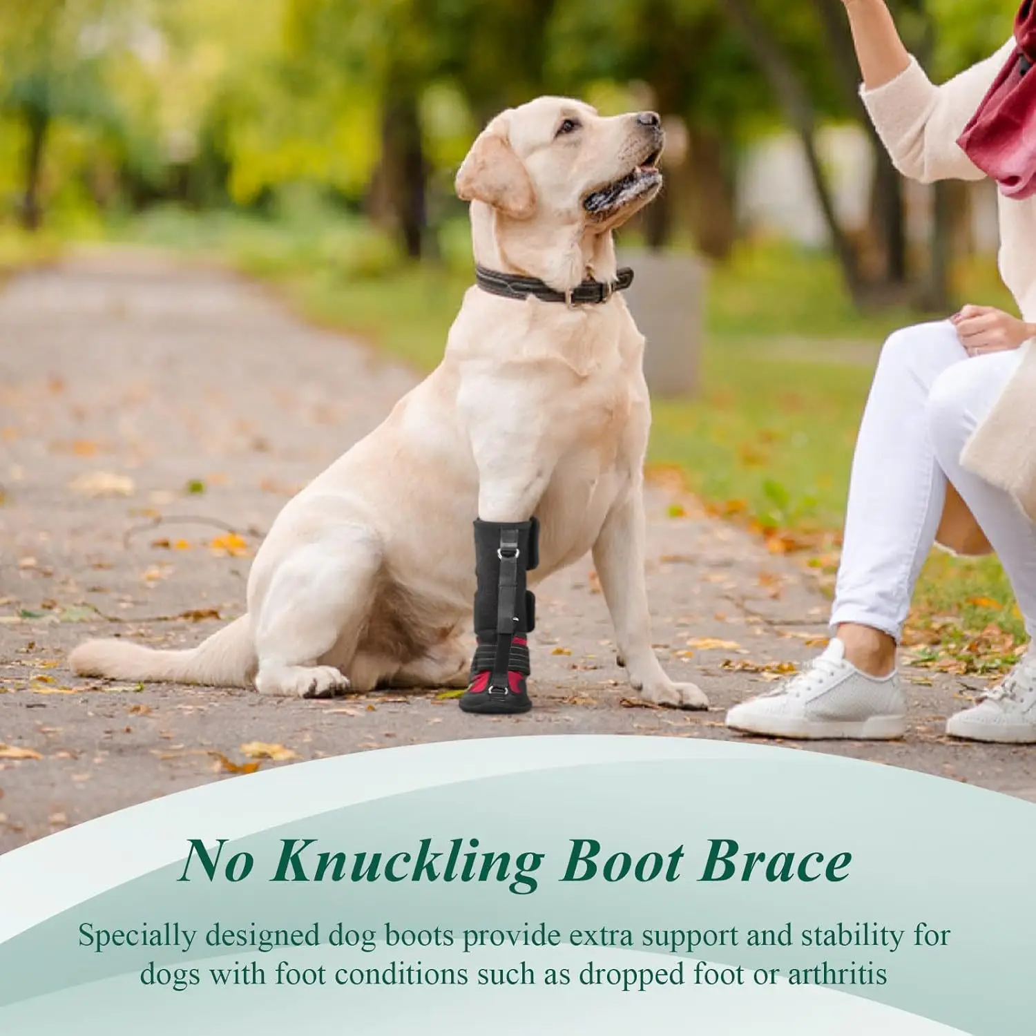 

Dog ShoesAntiDirtyAnti DropWear Resistant Dog Shoes Breathable Dog Footwear Large and Small Dog Shoes-Waterproof Anti Abrasion .