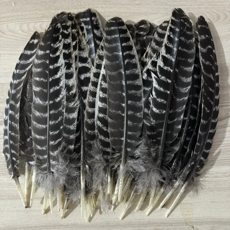 10pcs Wholesale Natural Eagle Feathers 20 to 35cm Eagle Bird Feathers Turkey Pheasant Feathers for DIY Crafts Decorations