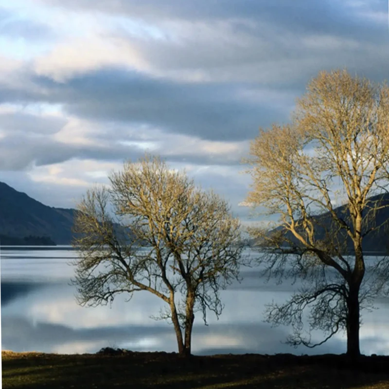 

T-MOTOR P2505 KV1850 5-дюймовый бесщеточный двигатель FPV Outrunner 4-6S для версии для фристайла