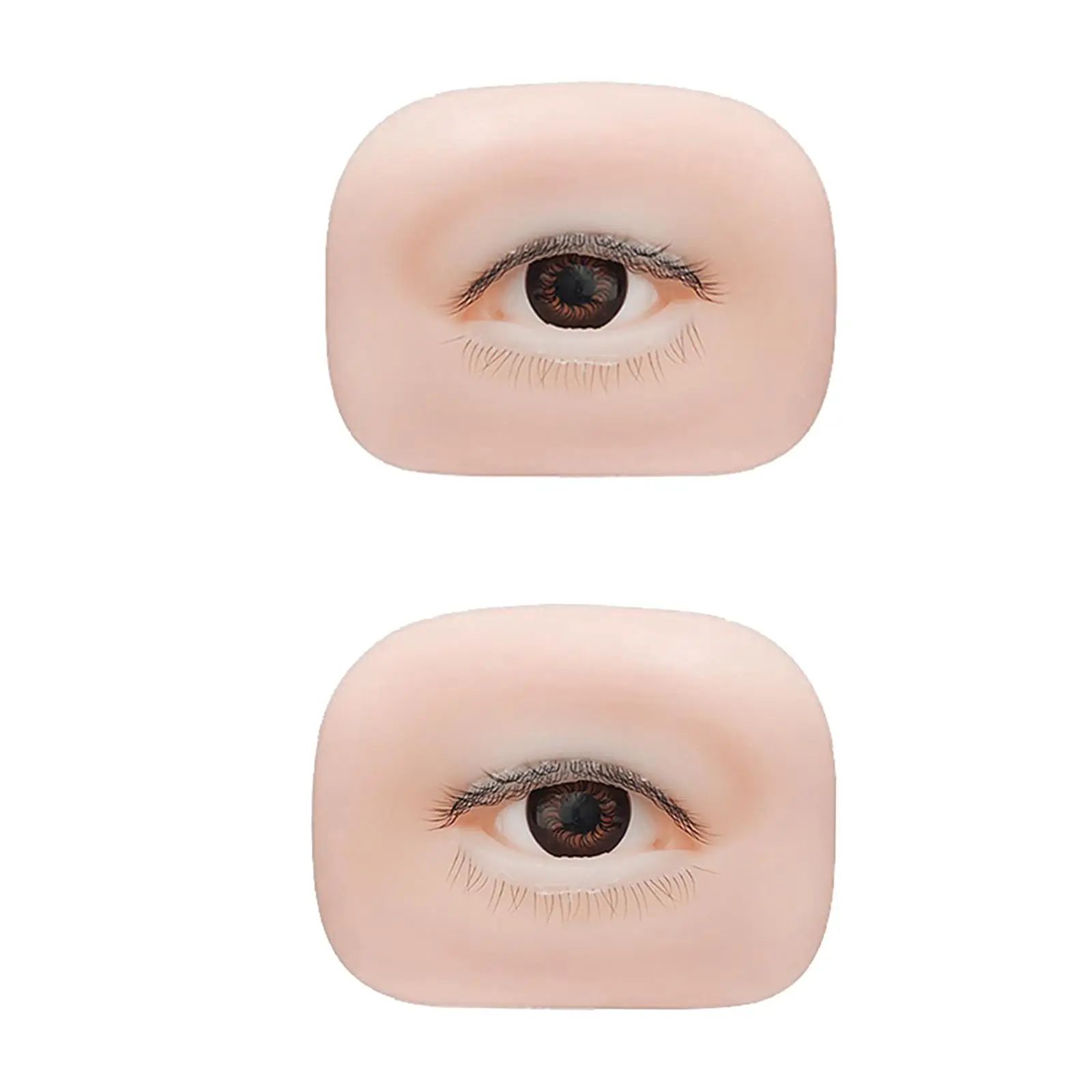 5D シリコーン製フェイクアイモデル 初心者アーティスト向け軽量アイボード