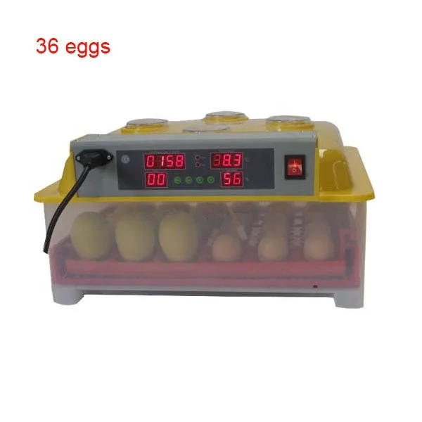 ZH-36 mini incubator for hatching 36 chicken eggs made in China/cheap mini incubator/mini hatching box