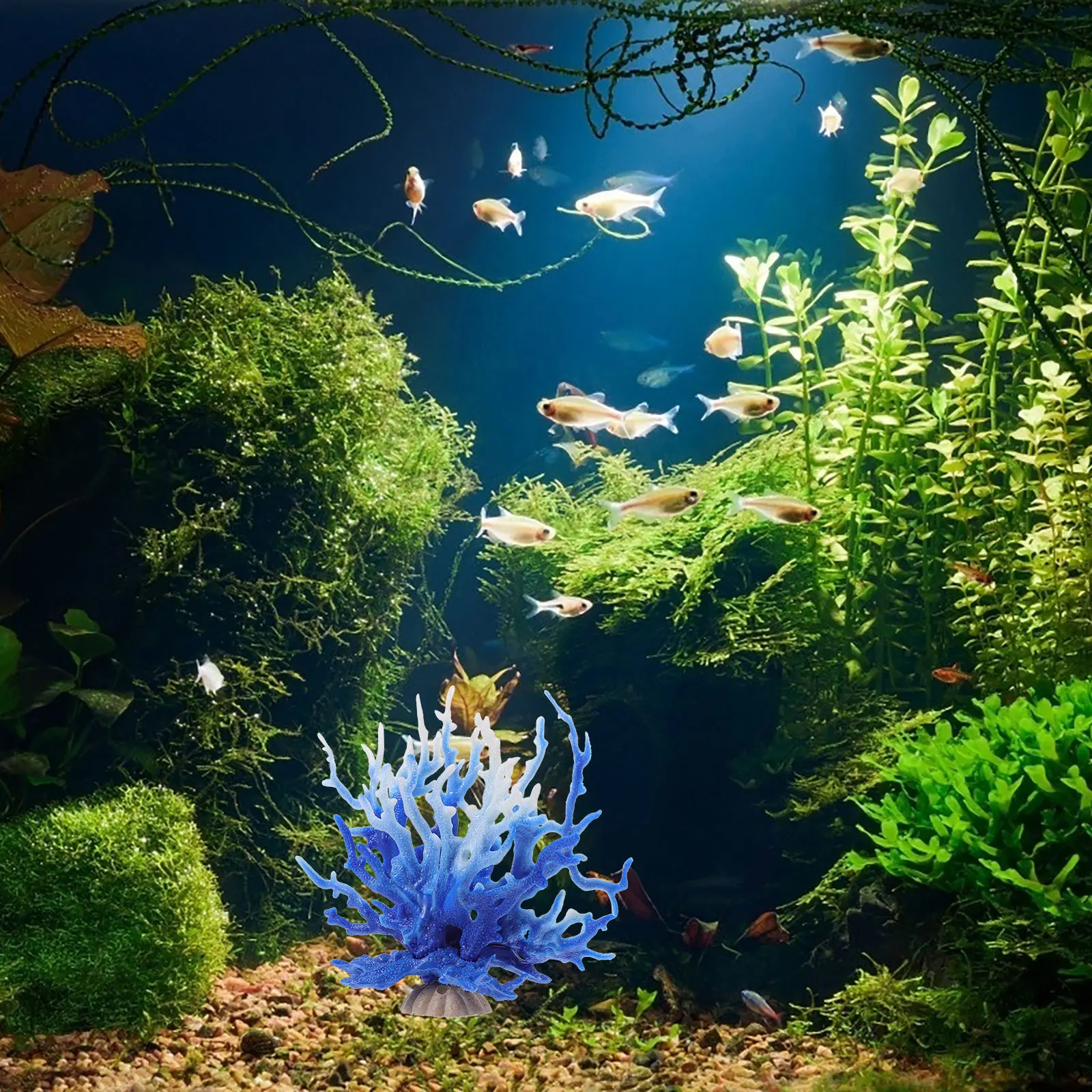 

Vibrant Coral Reef Decor for Betta Fish Tank Safe Resin Aquarium Landscape Decoration Coral Reef Decor Fish Tank Decorations