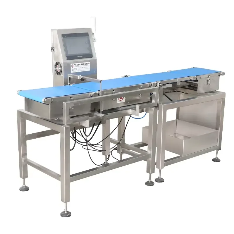 Customized Product Weight Checking Solutions Conveyor Belt Dynamic Weighing Scale Machine