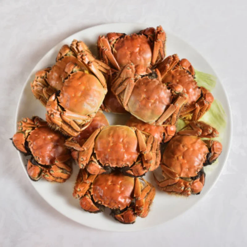 

Front and Rear Axle Rear Covers for RC Crawler TRXS TRX4 TRX6 1/10 Car 4WD HB R1001 R1002 R1003 Metal Upgrade Parts