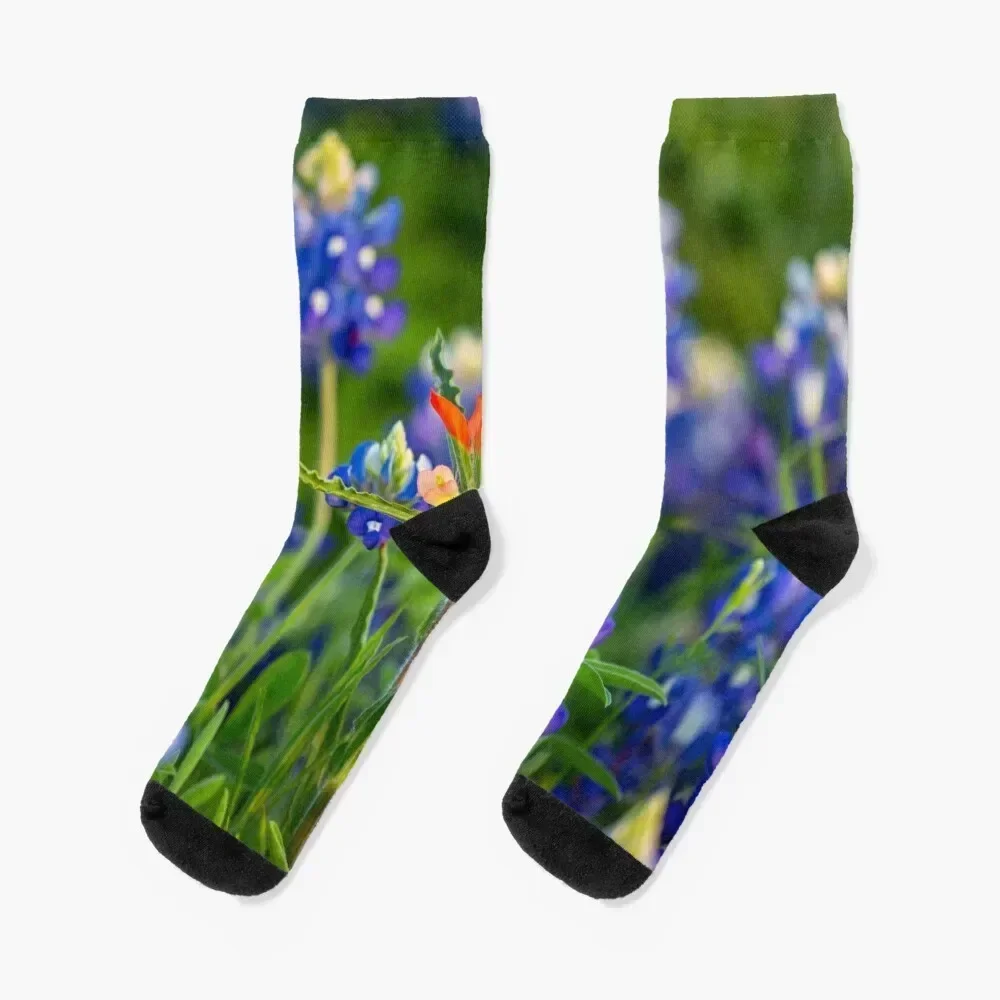 Stand Out - Indian Paintbrush Surrounded by Texas Bluebonnets Socks custom men cotton high quality Men's Male Socks Women's