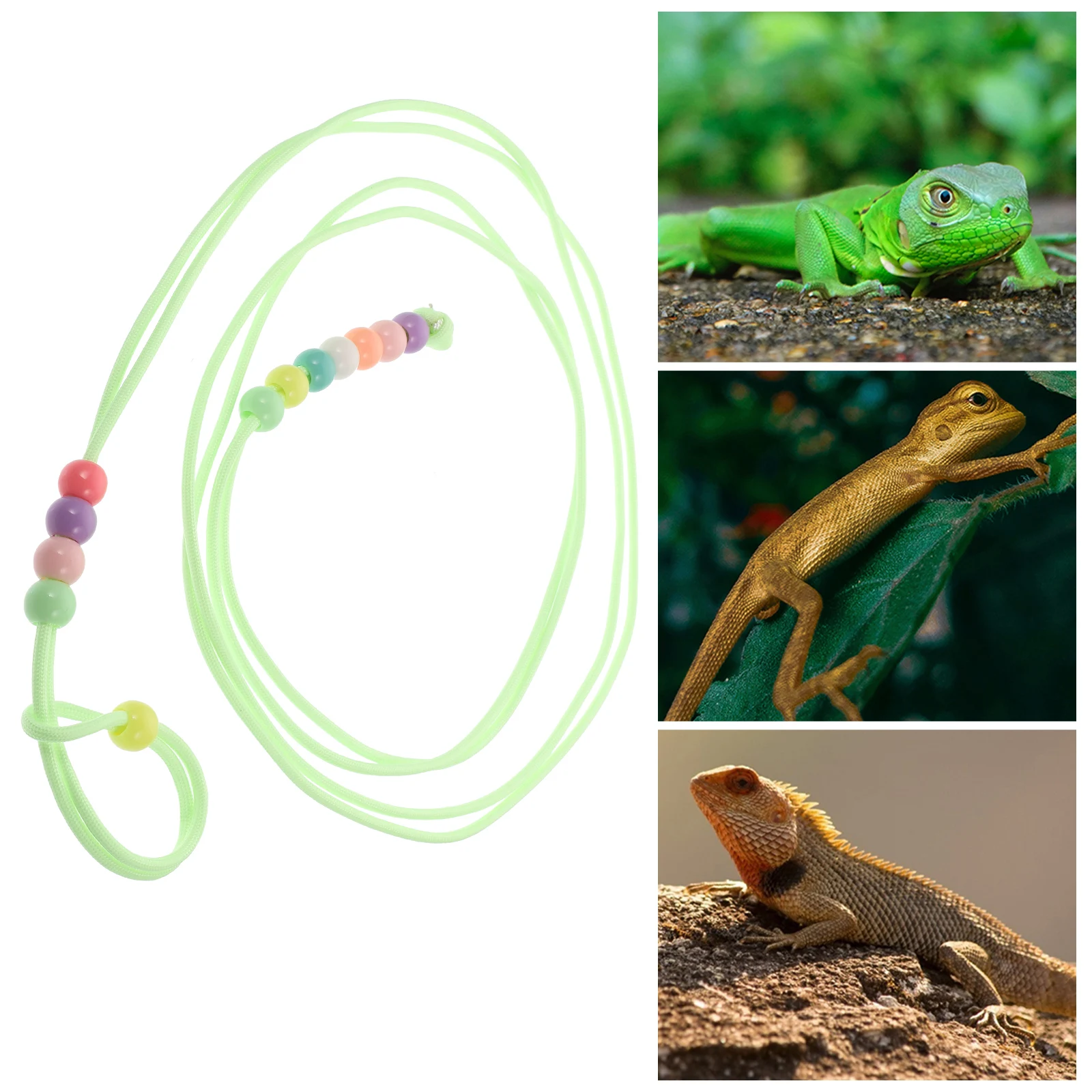 

Lizard Rope Luminous Leash Lizards Reptile Hauling Cable Bearded Dragons Harness