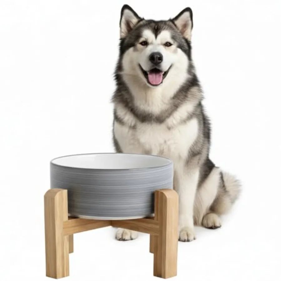 

Elevated Ceramic Dog Bowl with Bamboo Stand, Raised Pet Feeding Station for Small Medium Dogs Cats, Modern Design with Anti-Sli