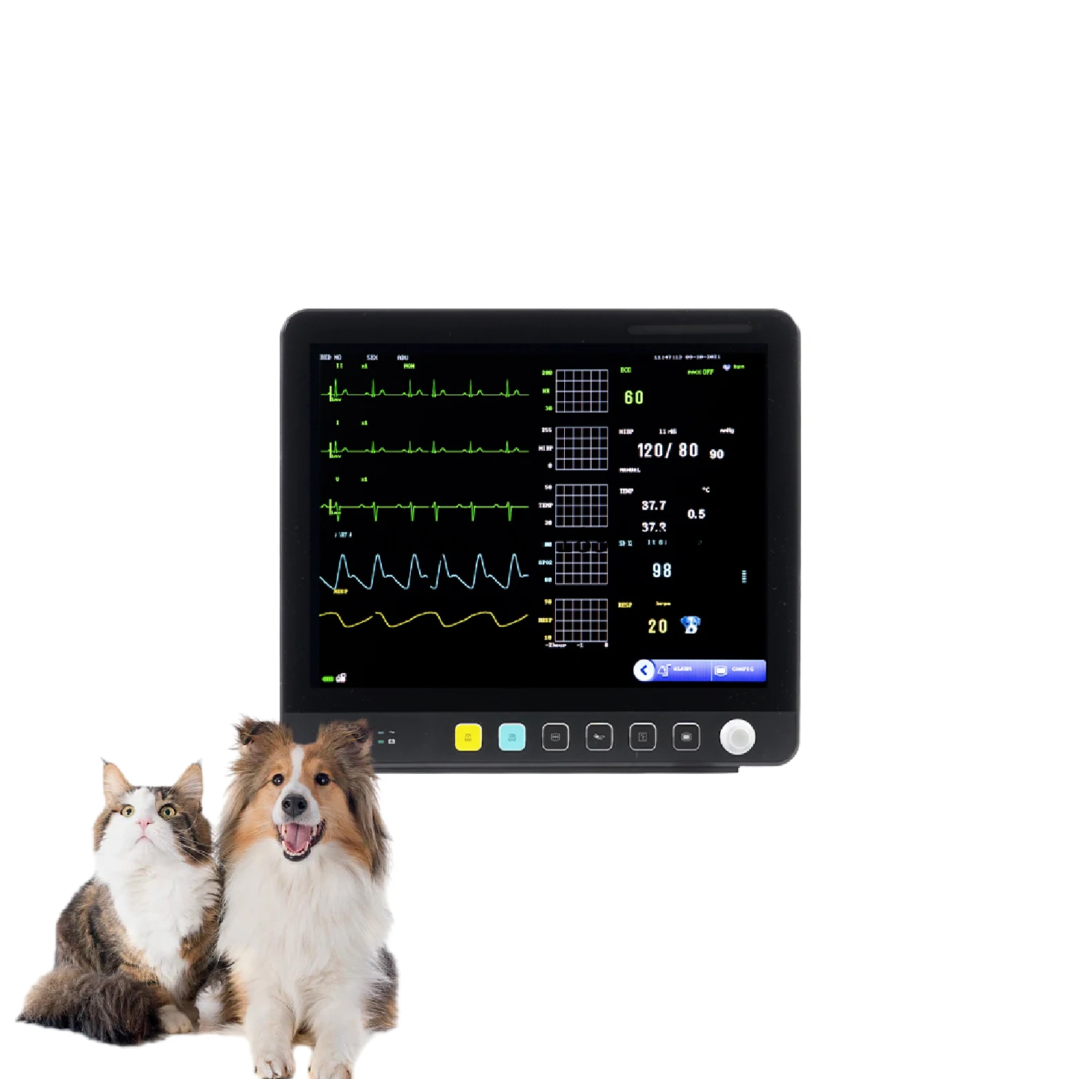 Monitor Multi Parâmetro Sinais Vitais, Instrumento Médico Veterinário, Clínica Hospitalar Icu Cirurgia