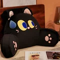black cat