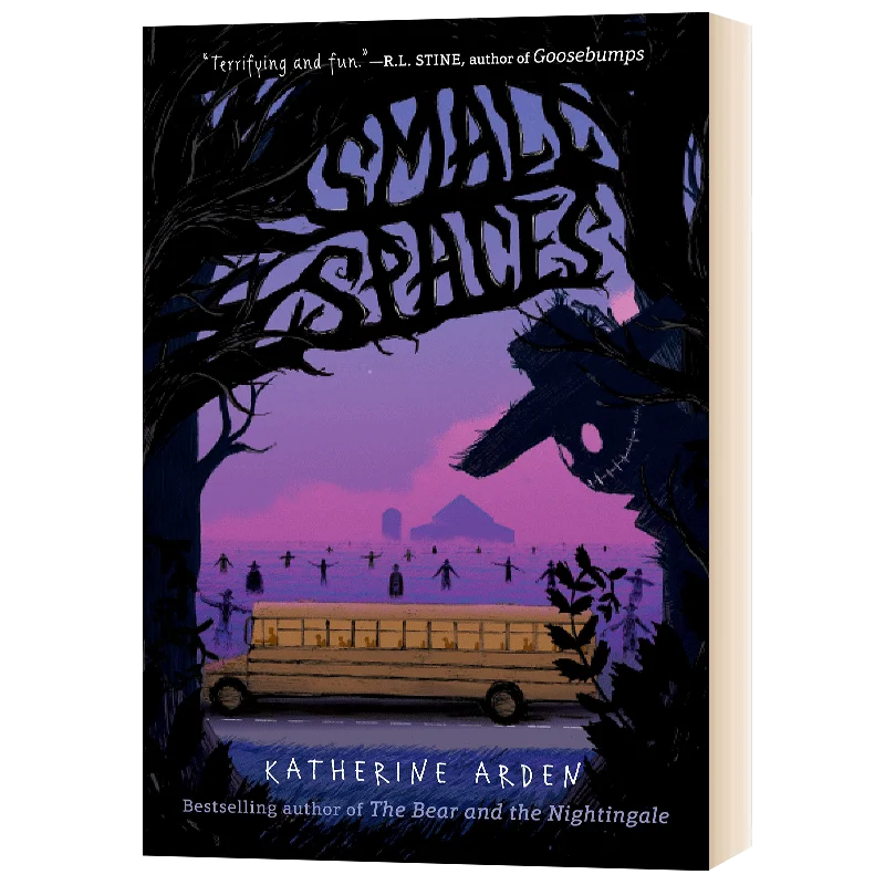 

Small Spaces, Children's aged 9 10 11 12 English books, Classics Novels 9780525515043