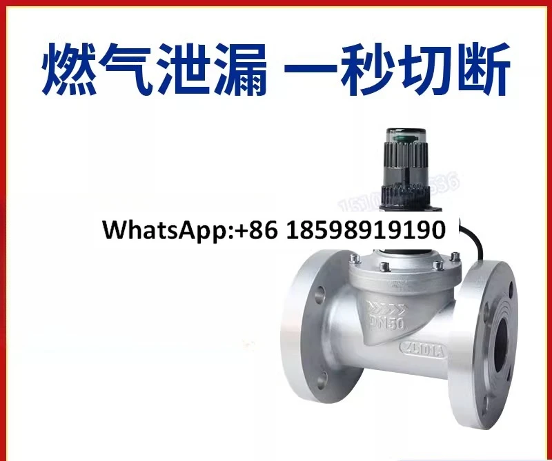 

Commercial industrial gas solenoid valve 0.4MPA