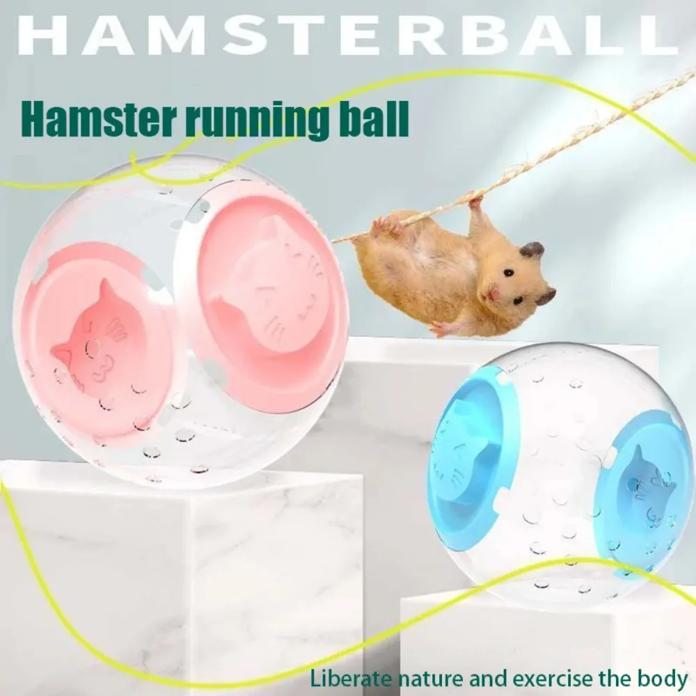 Thumbnail 3 - #19 Latest Hamster Exercise Wheels Offers
