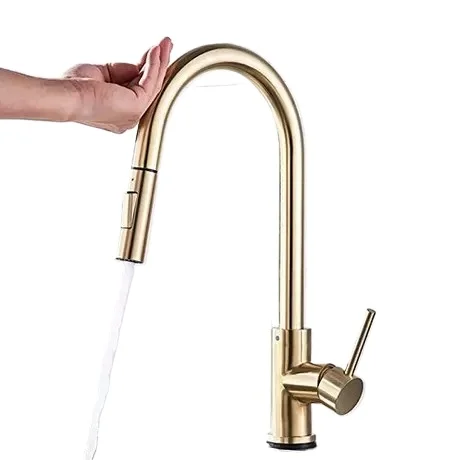 

Kitchen Faucet Ruskin Vegetable Basin Touch Faucet
