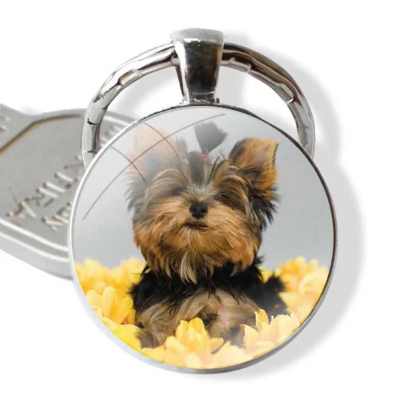 Keychain Glass Cabochon Metal Pendant Classic Men\'s Women\'s Keyring Yorkshire Terrier Puppy Dogs animal