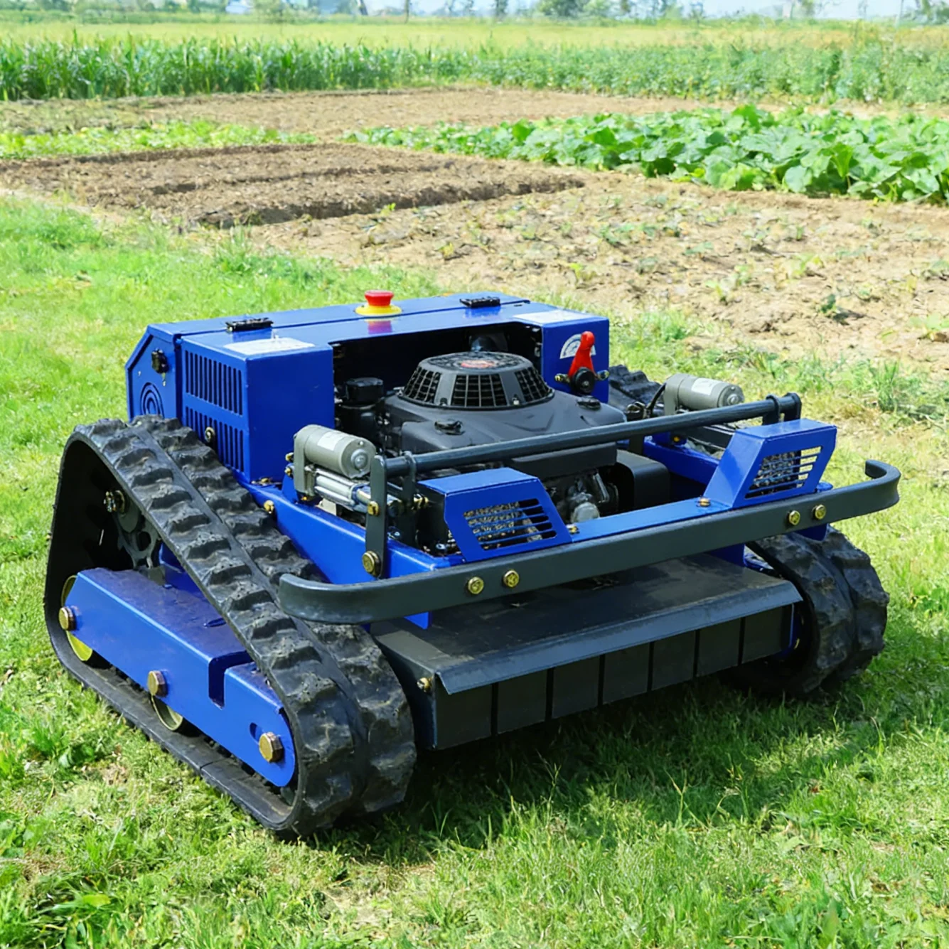 

Customised lawn mowers for sale Small Robot Lawn Mower 550mm Cutting Remote Control Crawler Flail Grass Cutter Certified CE EPA