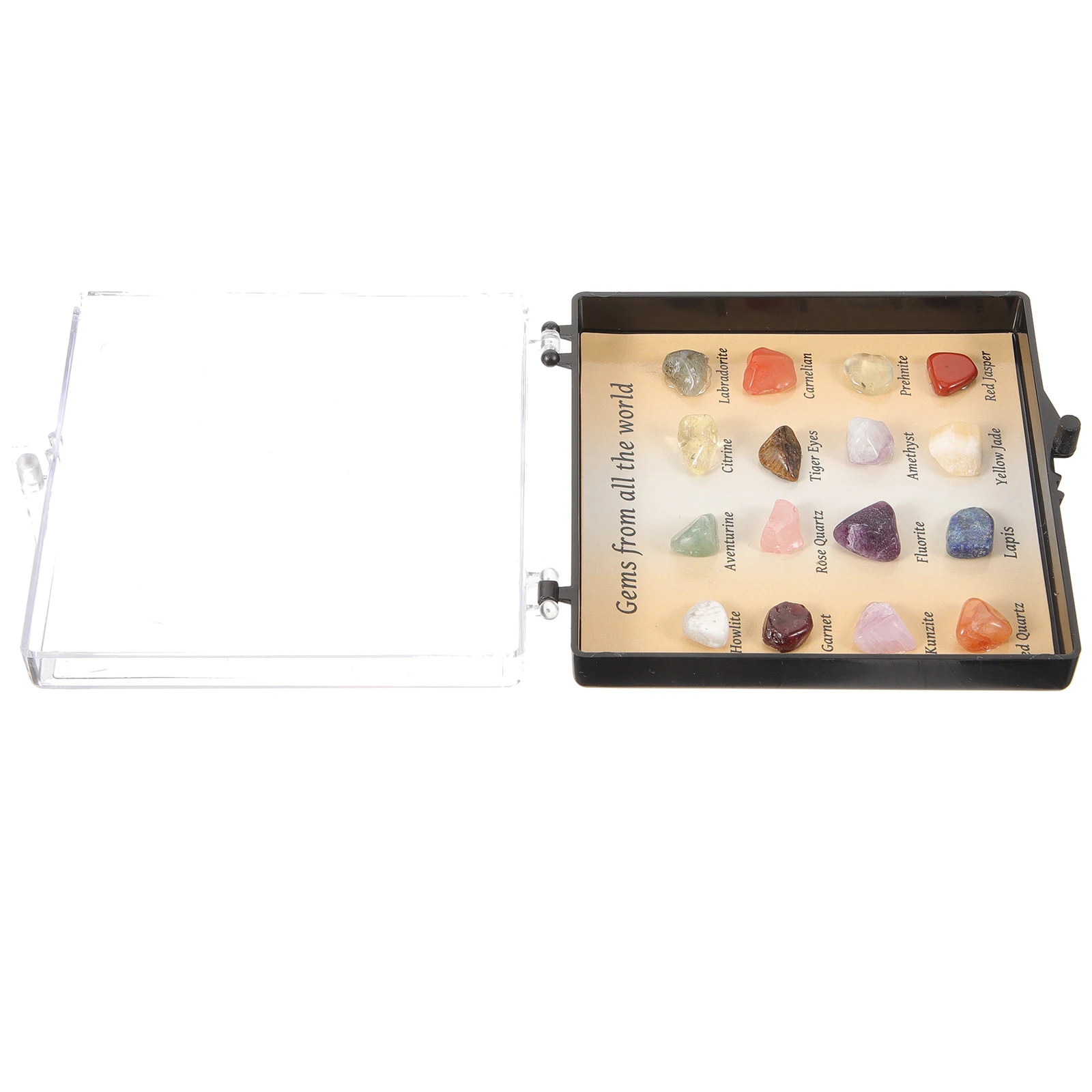 

Ore Specimen Box Crystal Kit Stone Display Natural Mineral Teaching Stones Case Learning Sample