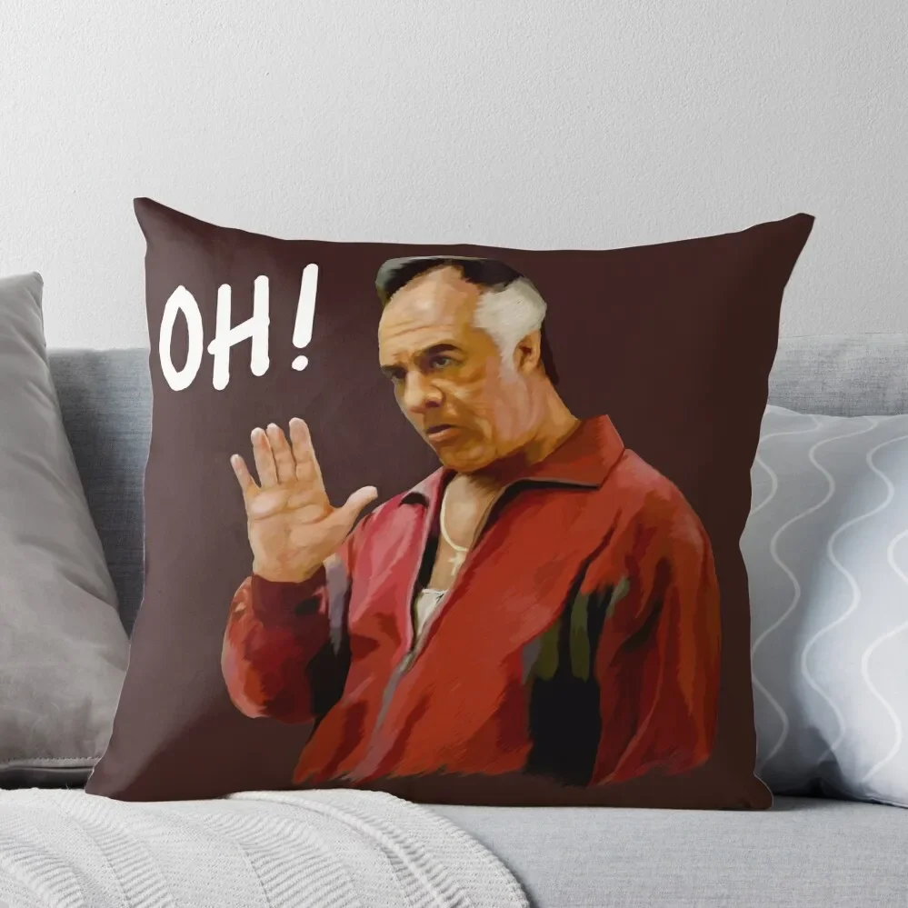 PAULIE Throw Pillow Cushion Covers For Living Room Pillow Cover Cushions Cover