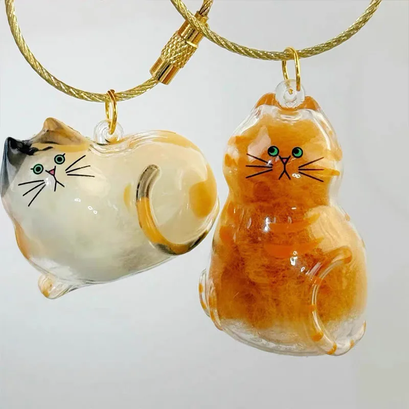 

1pcs Cute Pet Hair Bag Pendant Transparent Cat Hair Storage Box Pendant Dog Hair Memorial Storage Capsule Creative Diy Keychain