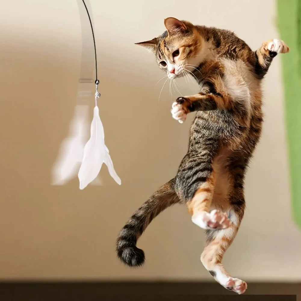 Interactive Feather Wand Cat Teaser Toy with Bell, Long Suct