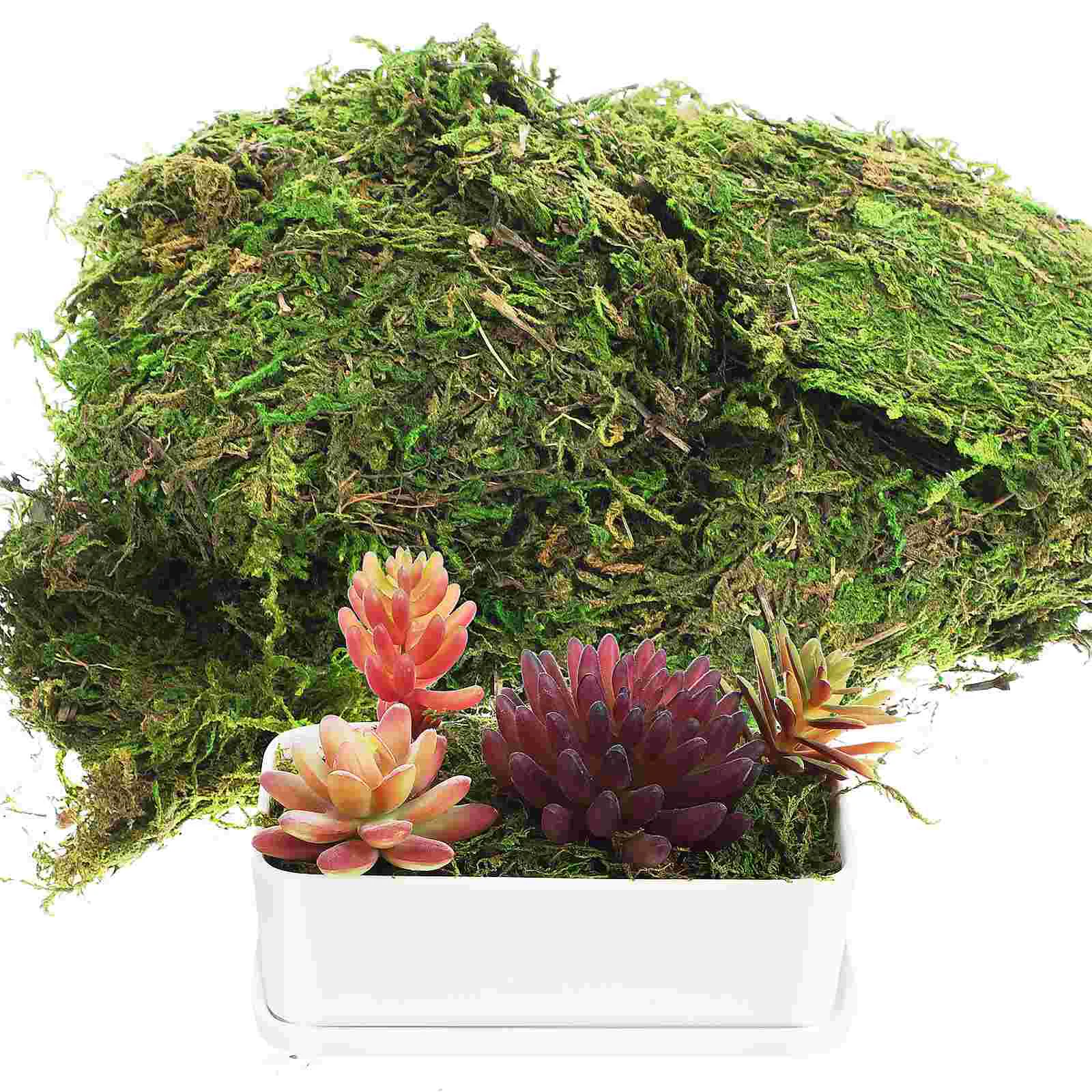 

Artificial Plants Indoor Green Stained Moss For Glass Crafts Fake Grass Decorative Faux