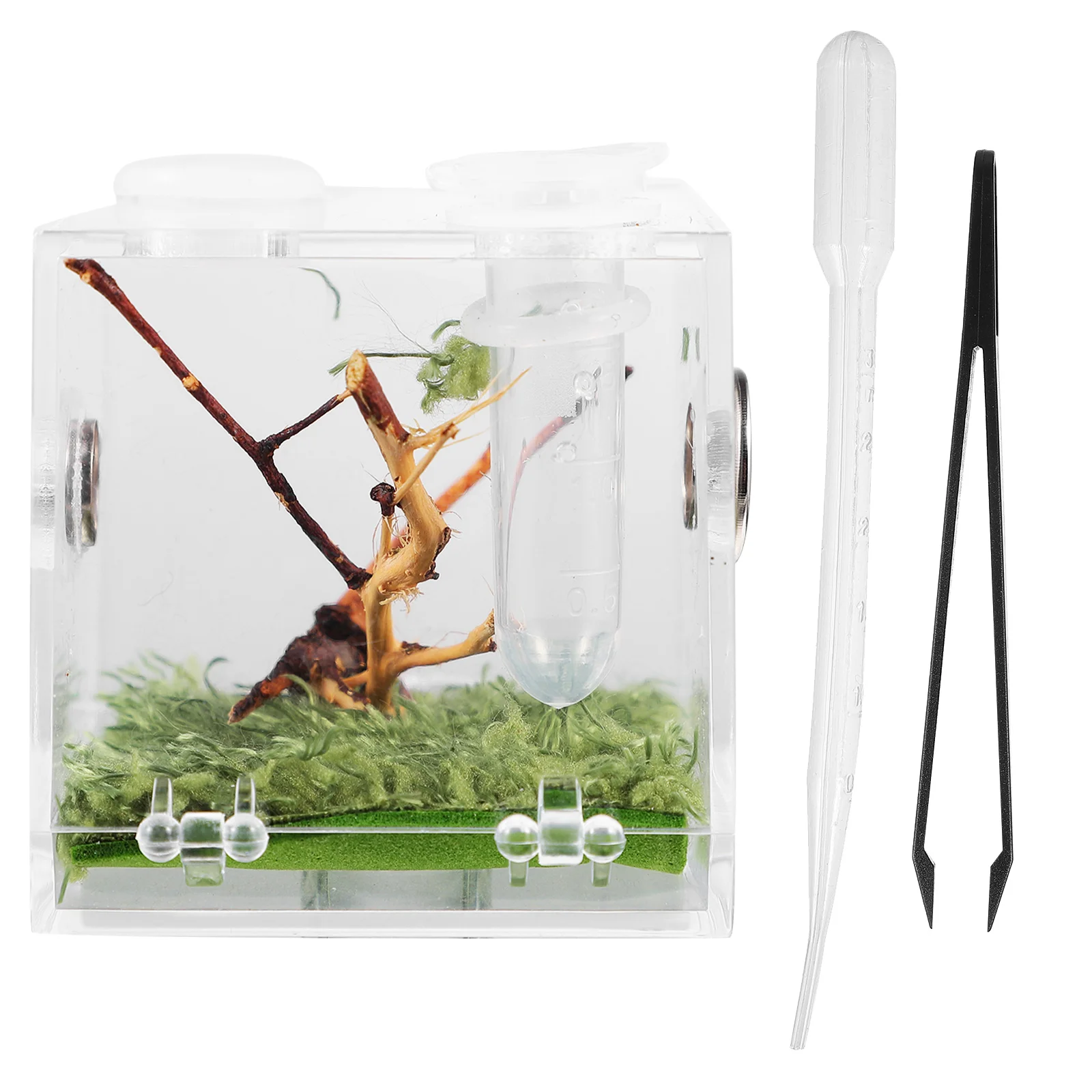 

Pet Breeding Box with Dropper Forceps Spider Terrarium Acrylic Reptile Cage for Crabs Turtles Insects Lightweight Ventilated