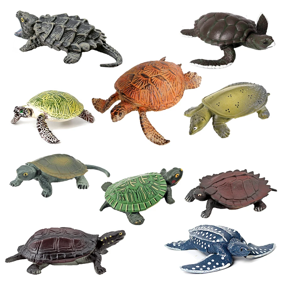 Figuras de tortuga de animales marinos, figura de terrapin de tortuga, figuras de animales de juguete, figuras de acción del ciclo de vida, juguetes de plástico, juguete para niños