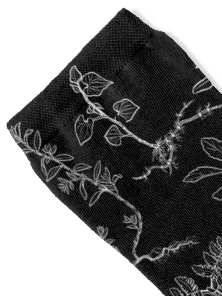 Illustration of wild plants, herbs and flowers, monochrome botanical illustration ink drawn in black line. Socks