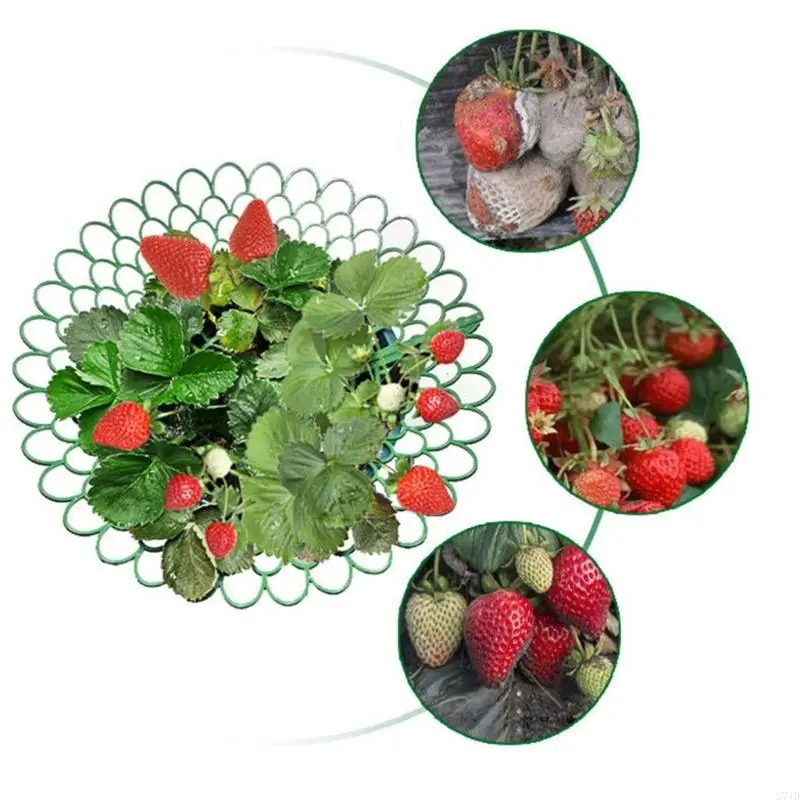 Vertical Tiered Strawberry Planter Fit for Balcony Gardening Space Saving Design 37JD