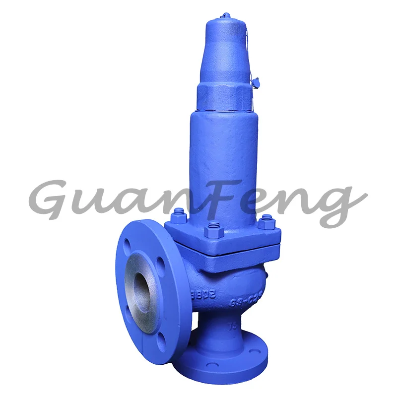 DN25*40 Flange Safety High Pressure Natural G Safety Relief Valve