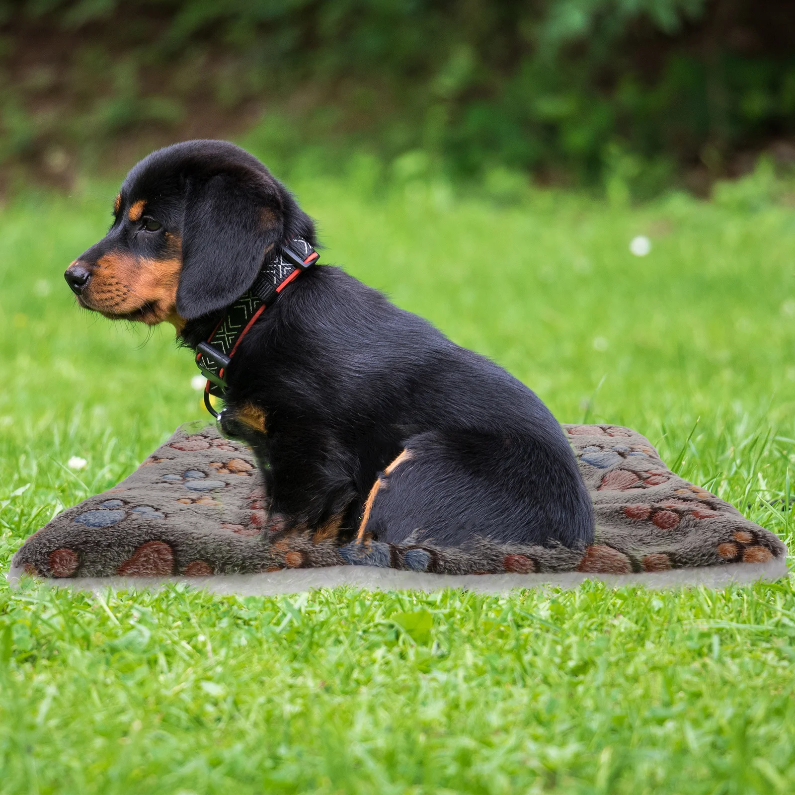 

2Pcs Pet Blanket for Cats and Dogs Warm Soft Sleeping Mat for Crate Bed Car Sofa Use Comfortable Floor Pad Pet Nest Cushion