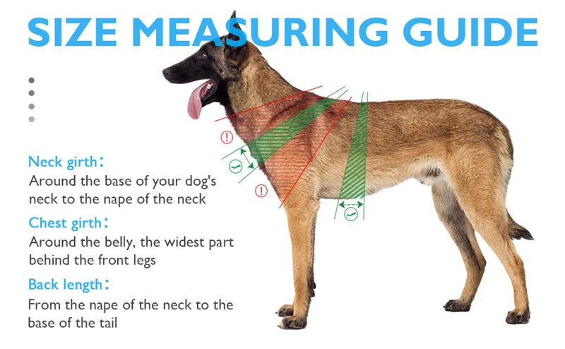 Taktische Militärweste für Haustiere, Outdoor-Trainingsweste, Hundegeschirr und Leine, Set mit Halsband für mittelgroße und große Hunde, Deutscher Schäferhund – Detail 18