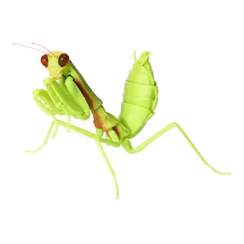 بانداي الأصلي غاشابون الموسوعة البيولوجية سلسلة 4 الميت ورقة السرعوف الحشرات الشكل-مجموعة أنيمي ، الصحراء التمويه علة